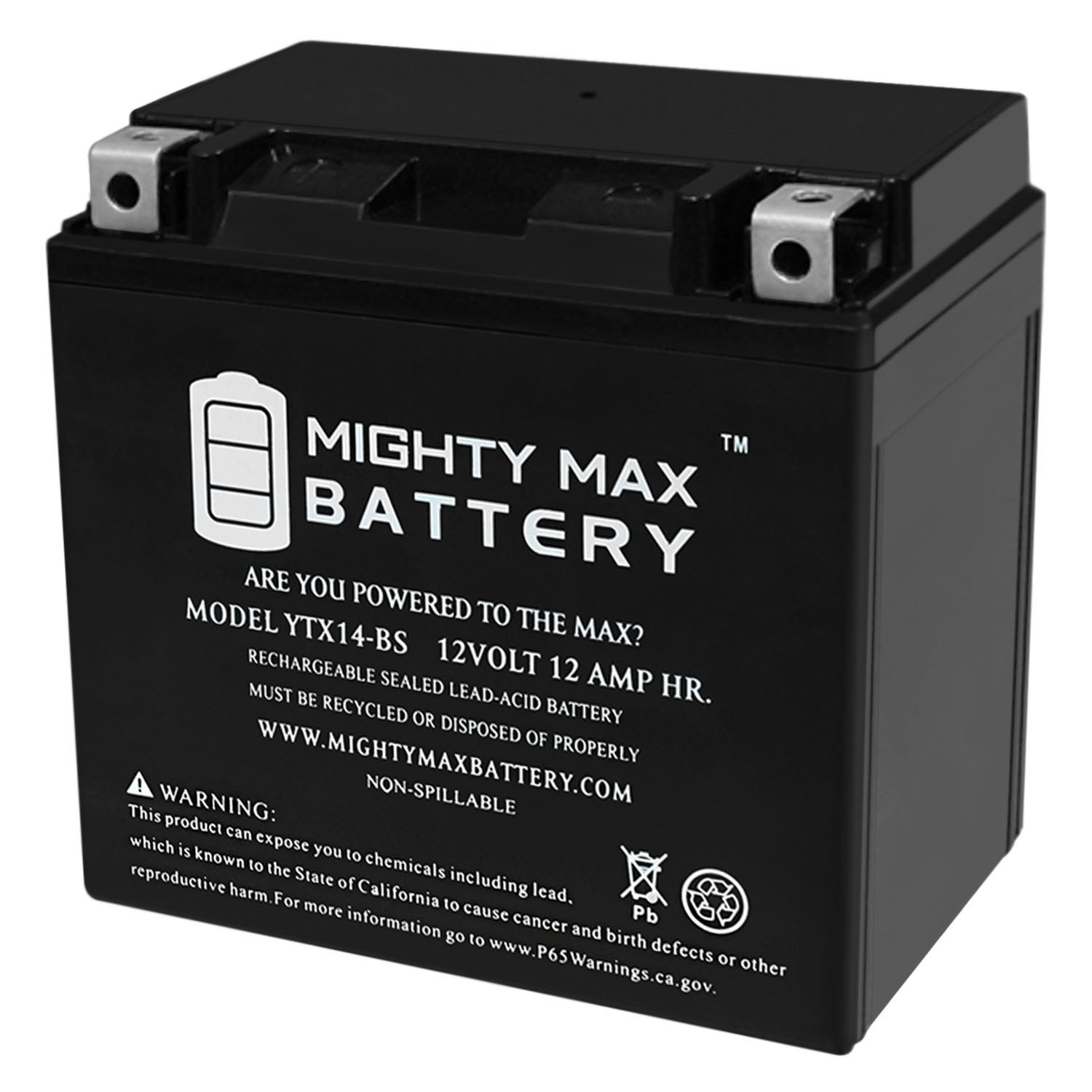 YTX14-BS Battery Replacement for F650GS 07-12 - MightyMaxBattery