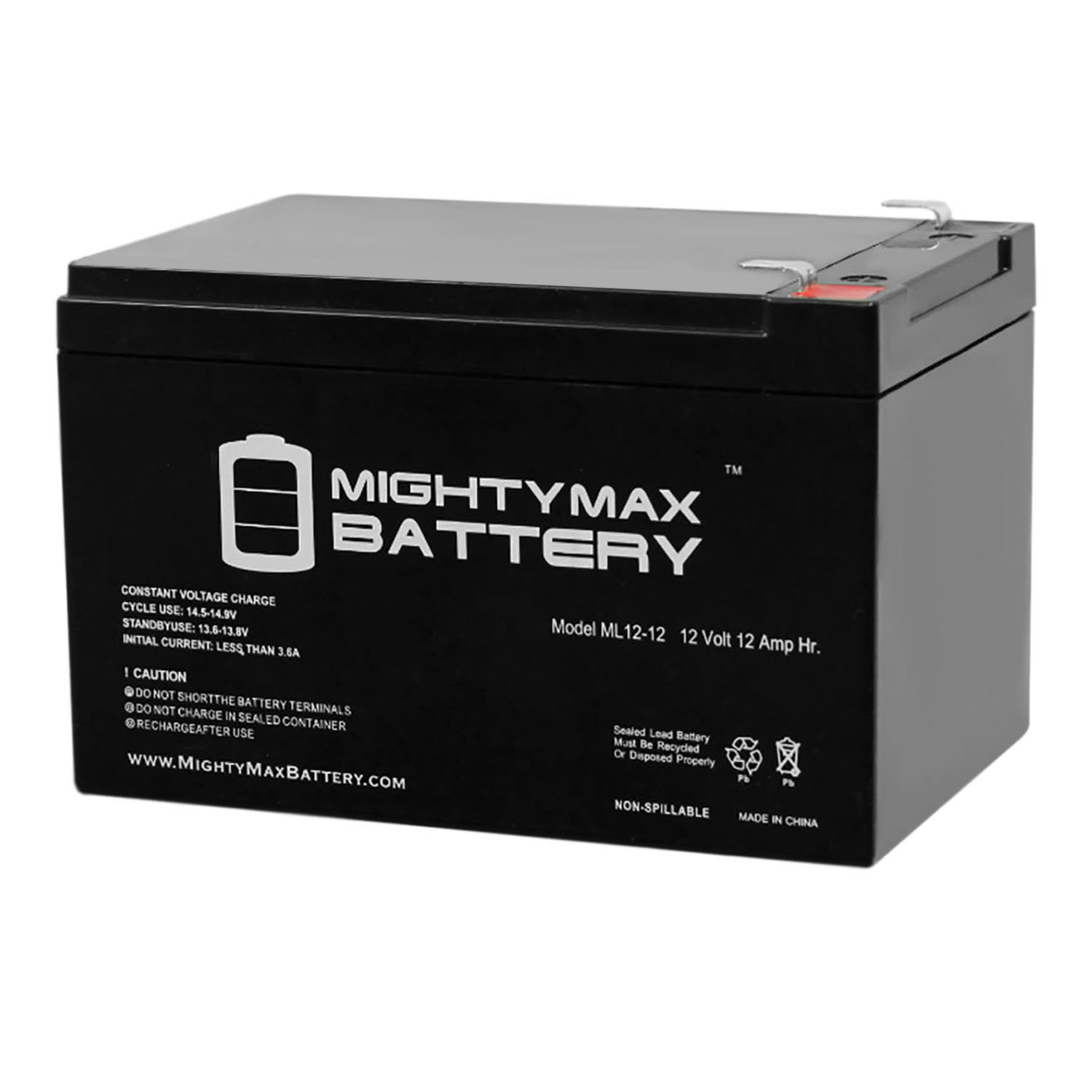 ML12-12 Mighty Max Battery Brand Product 12 Volt 12 AH SLA Battery 