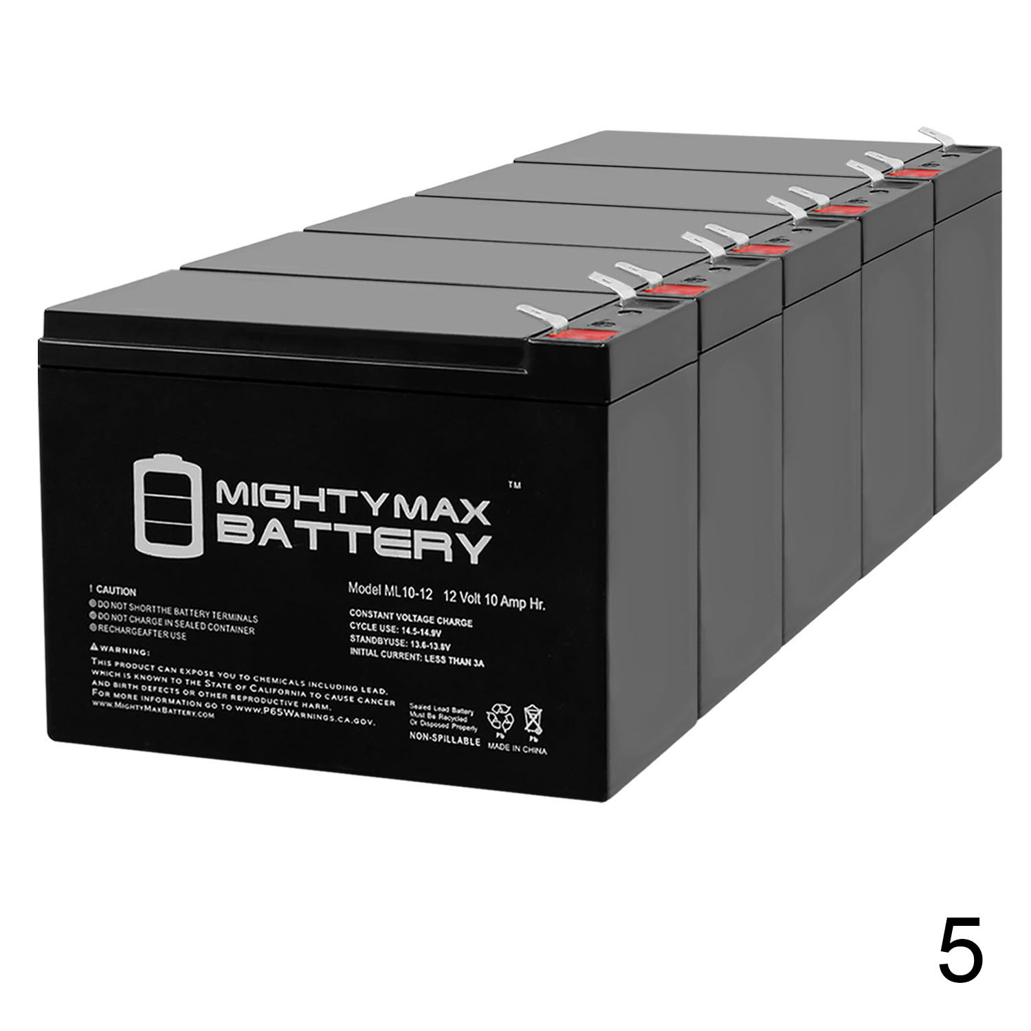 12V 10AH SLA Battery Replacement for EXP12100 - 5 Pack