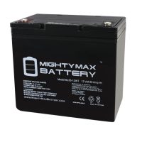 12V 55AH Internal Thread Battery Replacement for Quickie P100 22NF