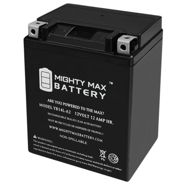 YB14L-A2 12V 12Ah Replacement Battery Compatible with Protek YB14L-A2