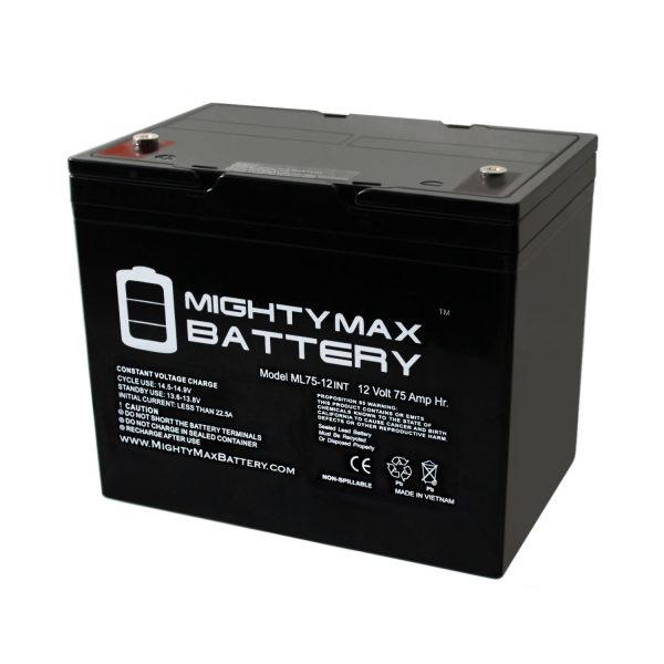 12V 75Ah Internal Thread Replacement Battery Compatible with The Basement WatchDog Model BW-27AGM