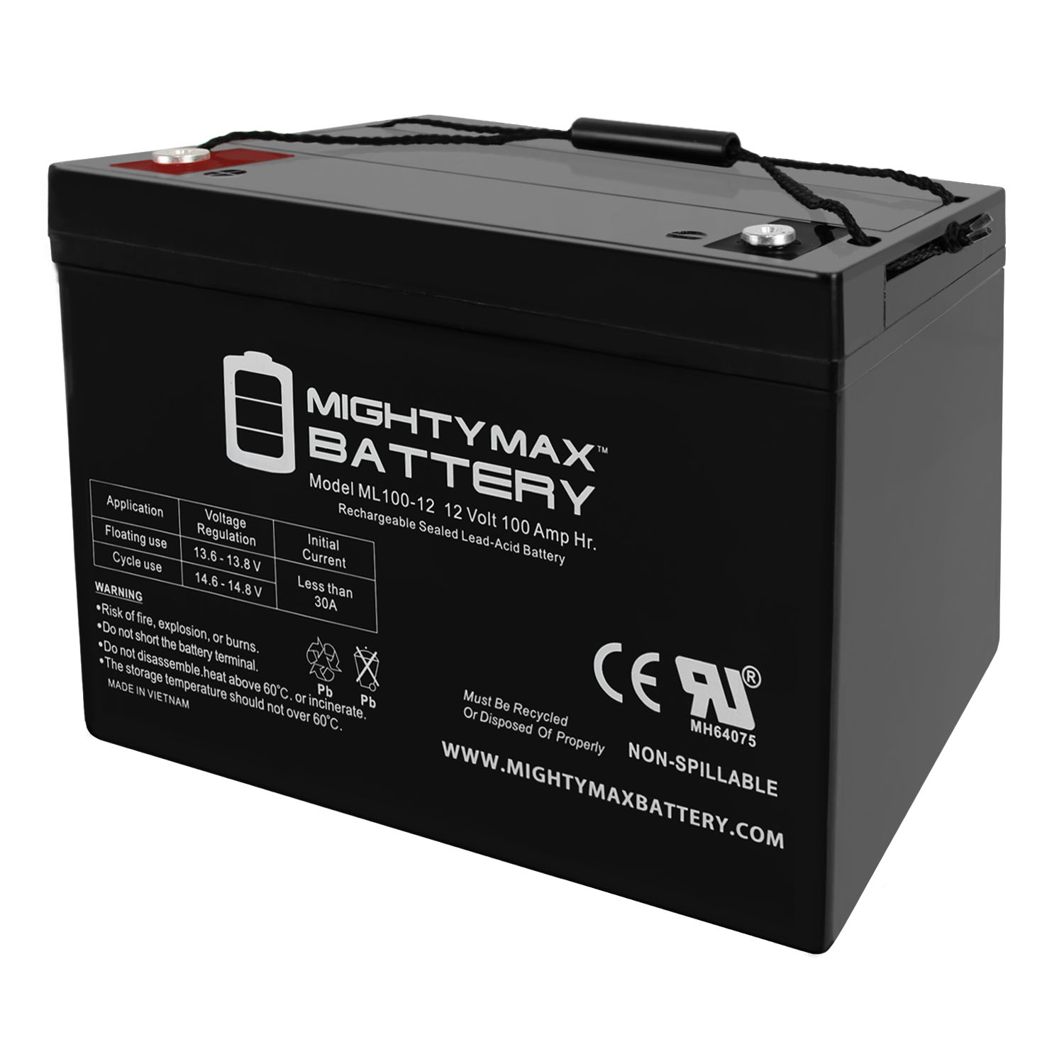 Isoleren Ter ere van artikel ML100-12 - 12 Volt 100 AH, Internal Thread (INT) Terminal, Rechargeable SLA  AGM Battery - MightyMaxBattery