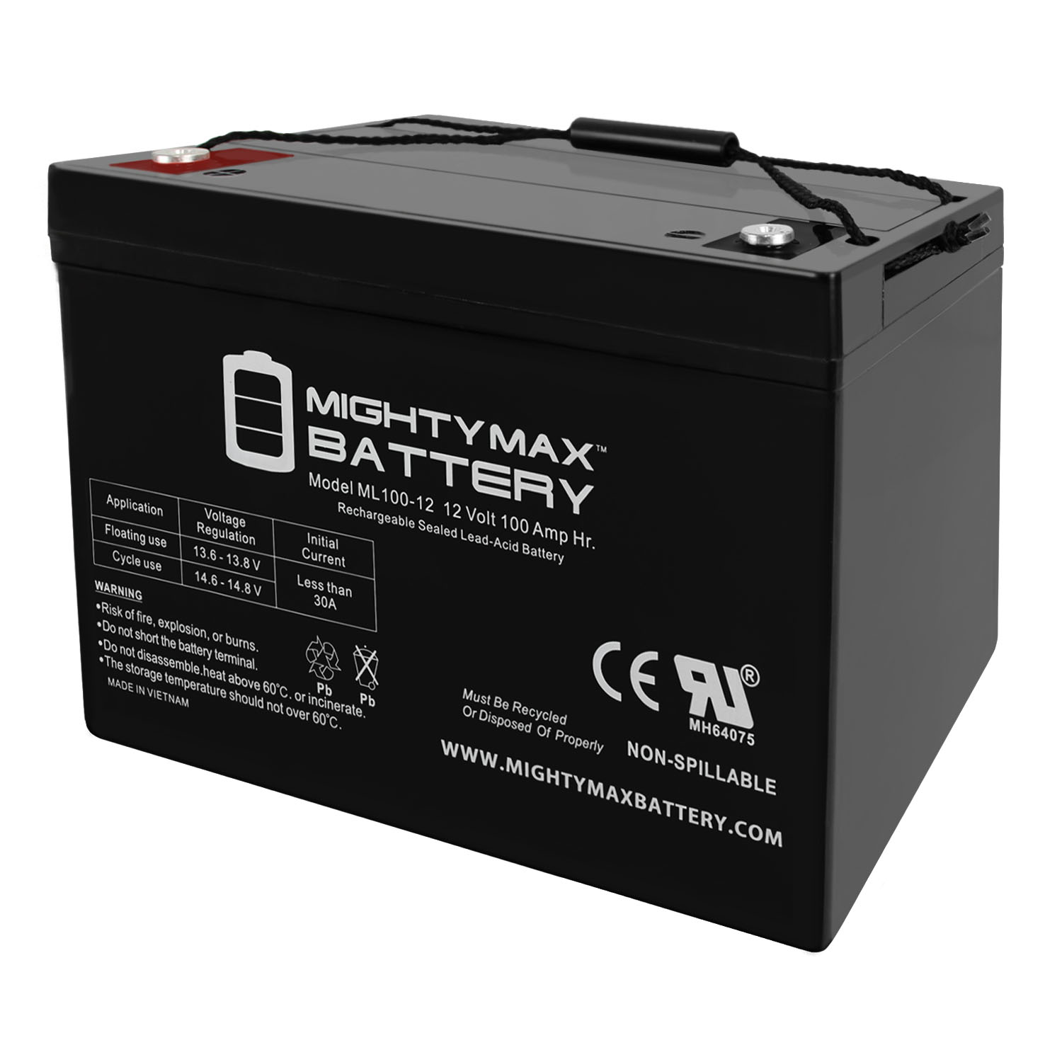 MIGHTY MAX BATTERY 12V 100Ah Replacement Battery compatible with