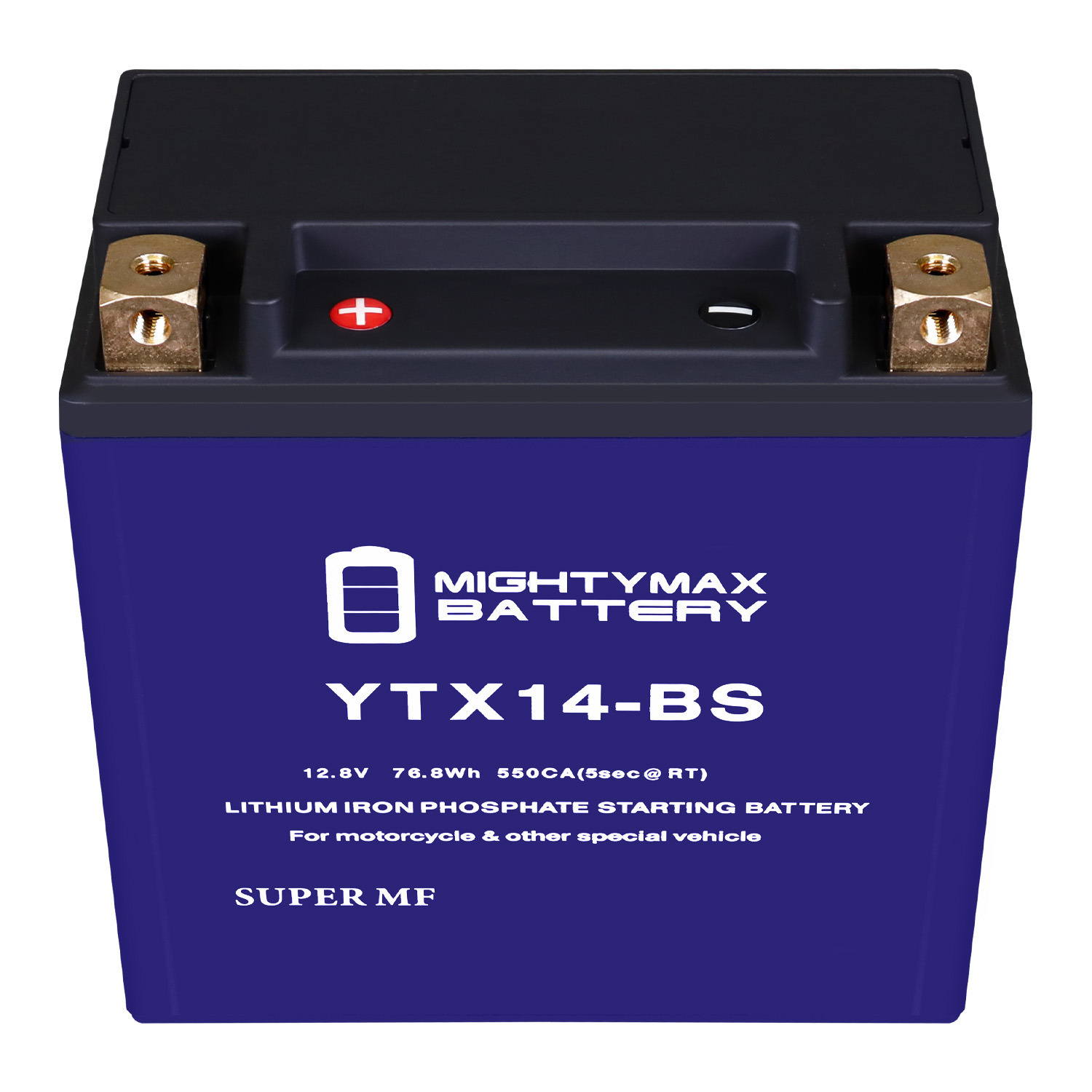Mighty Max Battery YTX9-BSLIFEPO4 - 12 Volt 8 AH, 300 CCA, Lithium Iron  Phosphate (LiFePO4) Battery