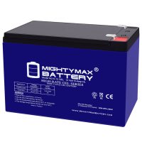 ML10-12 GEL - 12 Volt 10 AH, GEL Type, F2 Terminal, Rechargeable SLA AGM Battery