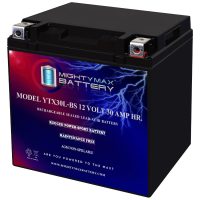 YTX30L-BS -12 Volt 30 AH, 385 CCA, Rechargeable Maintenance Free SLA AGM Motorcycle Battery YTX30L-BS -12 Volt 30 AH, 385 CCA, Rechargeable Maintenance Free SLA AGM High Rate Series Motorcycle Battery