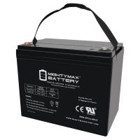 Mighty Max Battery ML60-12 - 12 Volt 60 AH, Internal Thread (INT) Terminal, Rechargeable SLA AGM Battery